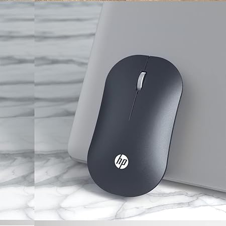 Mouse wireless DM10